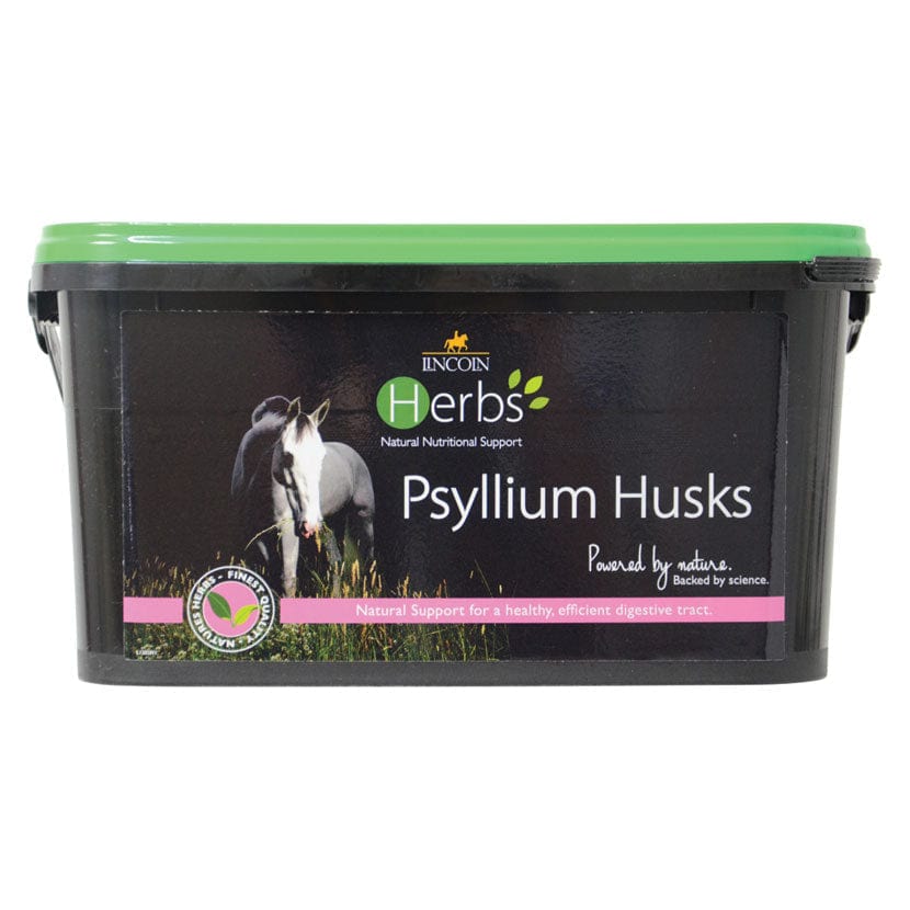 Lincoln herbs psyllium husks