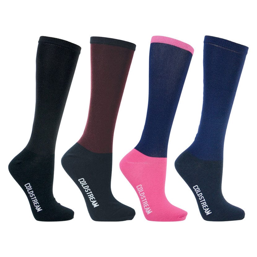 Coldstream pawston performance socks (single pack)