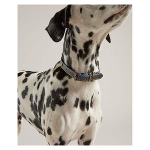 Joules leather dog collar