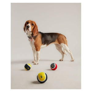 Joules outdoor balls