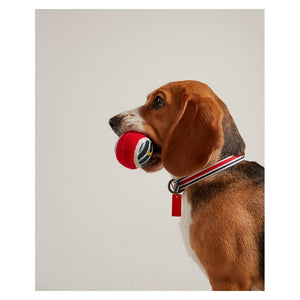 Joules Outdoor Balls