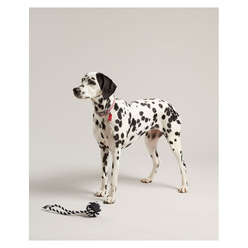 Joules rubber and rope dog toy