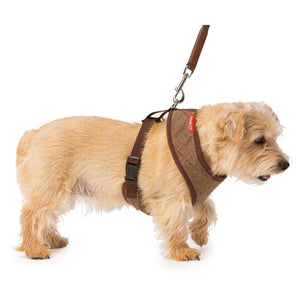 House Of Paws Memory Foam Harness