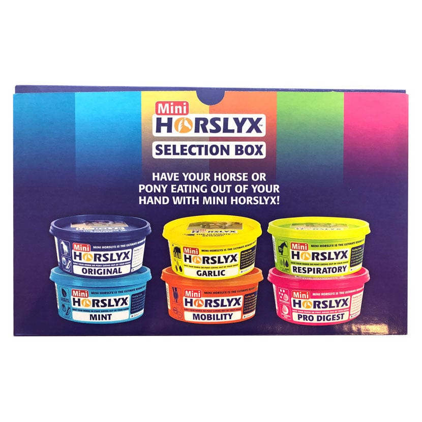 Horslyx mini selection box