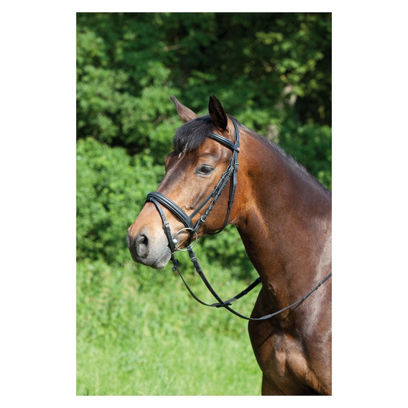 Kieffer ergonomic line snaffle bridle