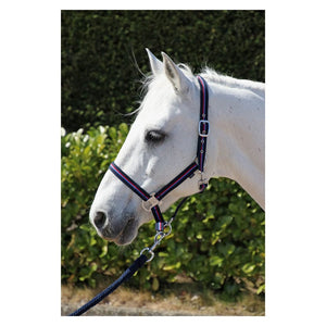 Hy signature head collar & lead rope