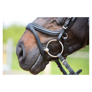 Kieffer ultrasoft tara snaffle bridle