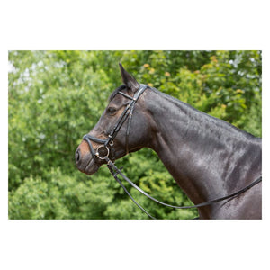 Kieffer ultrasoft tara snaffle bridle