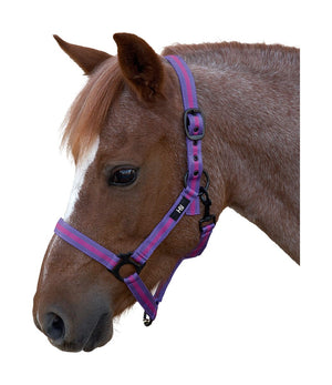 Hy Equestrian Duo Head Collar