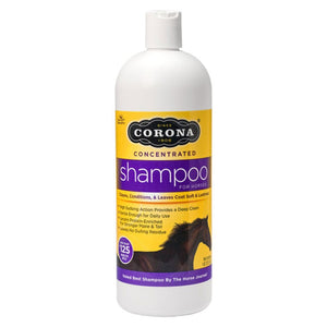 Corona concentrated shampoo