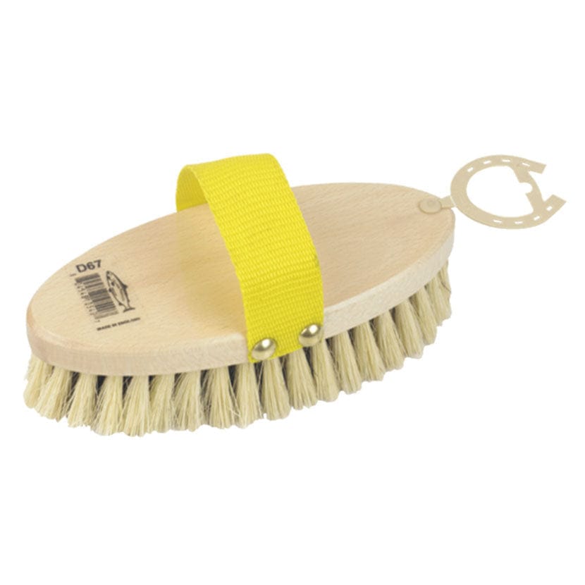 Mexican fibre body brush