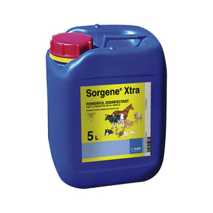 Sorgene Xtra