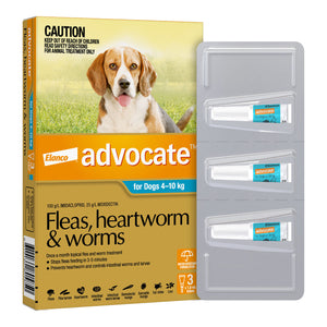 Advocate Spot-On Solution 100 mg for Medium Dogs (4 - 10 kg)