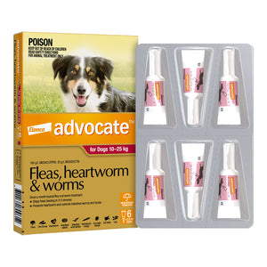 Advocate Spot-On Solution 250 mg for Large Dogs (10 - 25 kg)