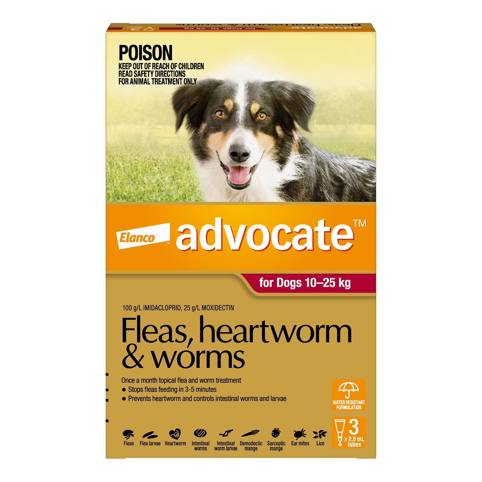 Advocate Spot-On Solution 250 mg for Large Dogs (10 - 25 kg)