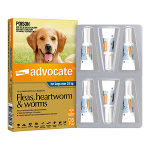 Advocate Spot-On Solution 400 mg for Extra Large Dogs (25 - 40 kg)