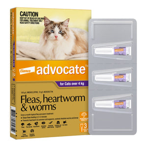 Advocate Spot-On Solution 80 mg for Large Cats (4 - 8 kg)