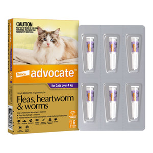 Advocate Spot-On Solution 80 mg for Large Cats (4 - 8 kg)