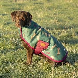 Benji & Flo Harrison the Hare Dog Coat