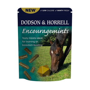 D&H Encouragemints