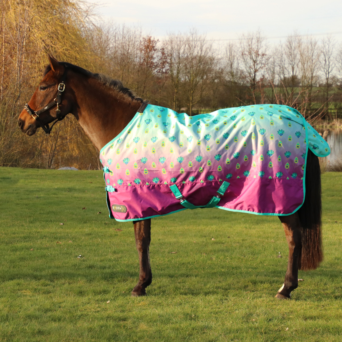 StormX Original Perry the Peacock 0 Turnout Rug